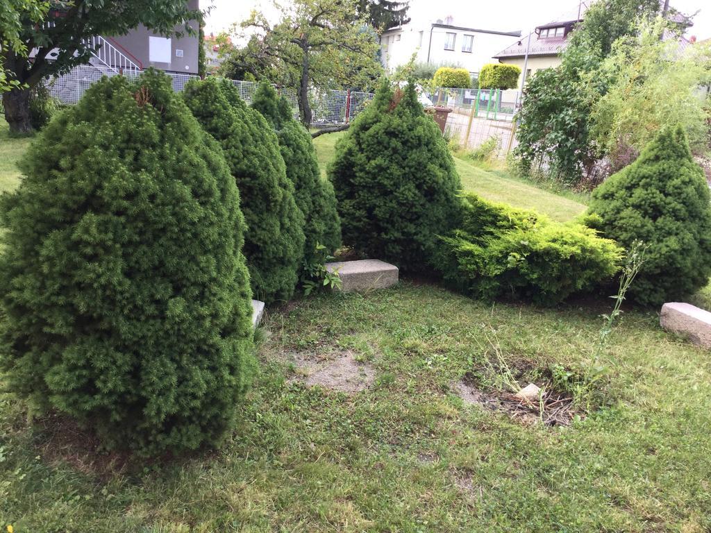 Lydiavi Apartamento Vysoké Mýto Exterior foto